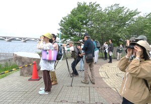 バードウィーク手賀沼探鳥会の様子