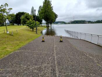 手賀沼公園の冠水の様子
