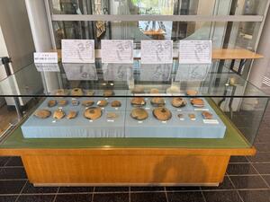 展示の様子その1