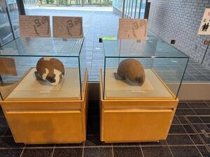 展示の様子その2
