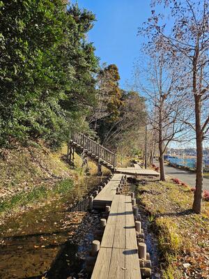 桃山公園画像